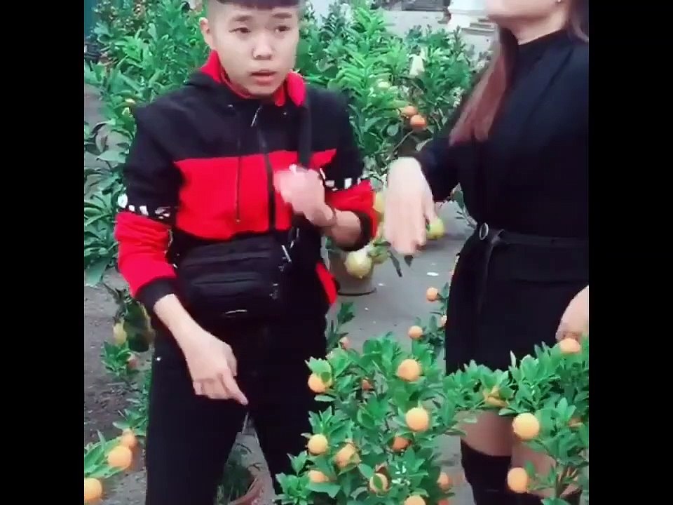Tiktok hài hước nhất. Tổng hợp Tiktok nổi bật nhất