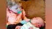 Funniest Situations When Baby Meets Siblings