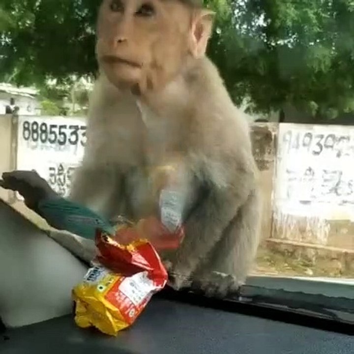 V Agar pasand aye to like kre aur share kre aur  follow kro channel ko.