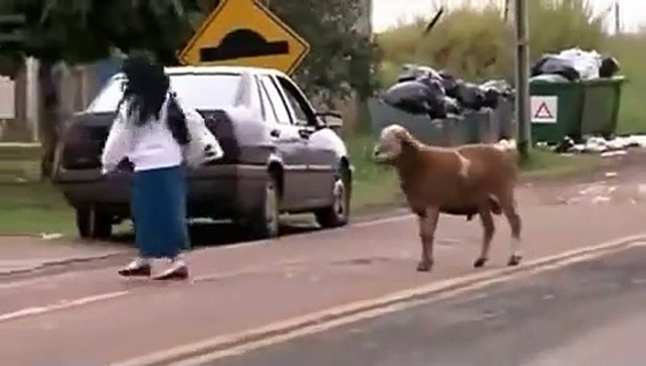 Iska pucha na chorona..jarur dekhe