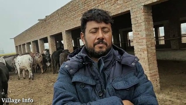 Tariq Bachra farm _ Bachra Farming in Pakistan _ Calf Farming in Pakistan _ Catt_HIGH