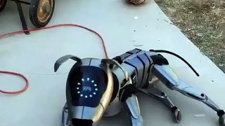 How to Move Robotic Dog? I look like a dog!
