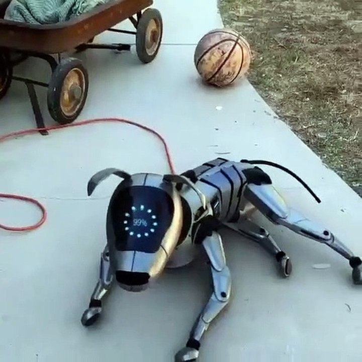 How to Move Robotic Dog? I look like a dog!