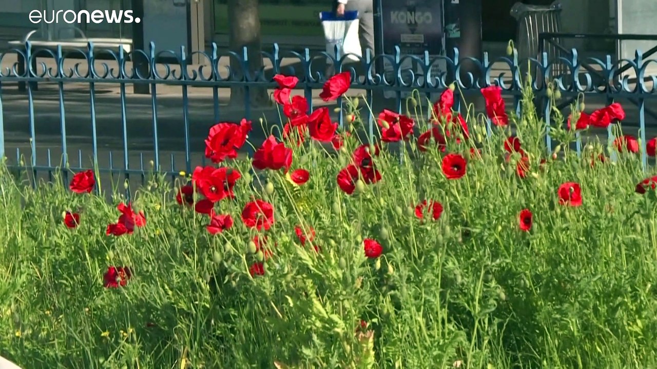 Europa ringt um Lockerungen