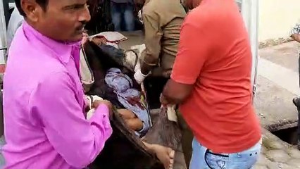 खड़े ट्रक में घुसी कार, चार की मौत