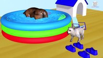 Learn Colors with Wrong Colors Sport Shoes with Animals Name and Sound