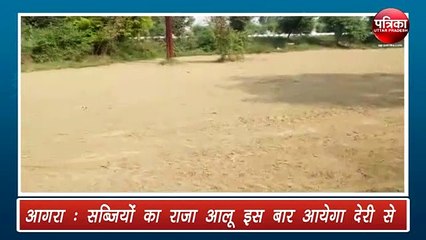 आलू करने वाले किसानों की संख्या में हुई बढ़ोत्तरी