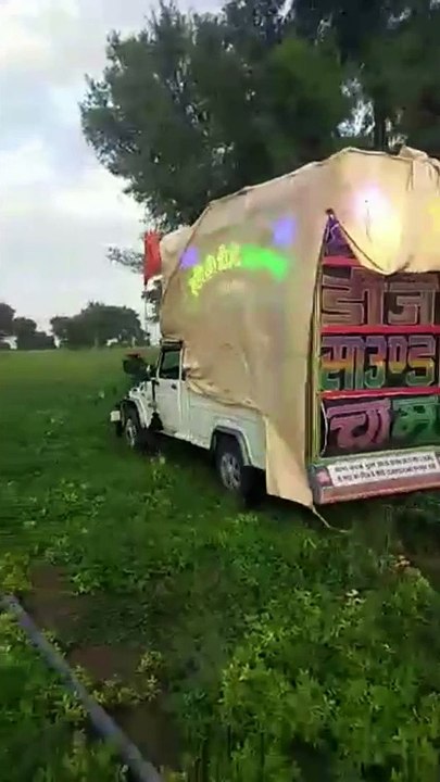 farmers are using DJ to remove locust