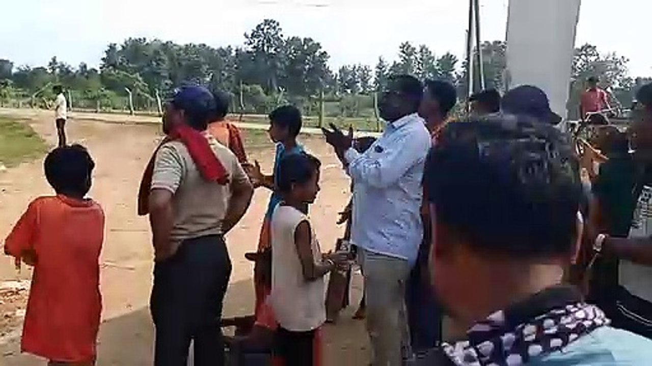 cricket