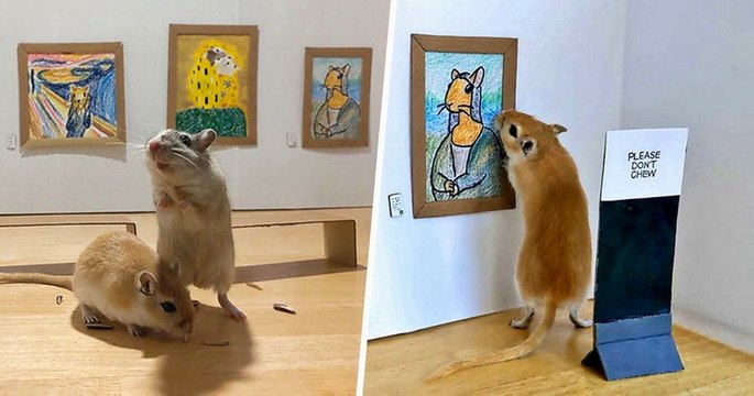Ce couple en confinement reconstitue une galerie d’art miniature pour leurs rongeurs