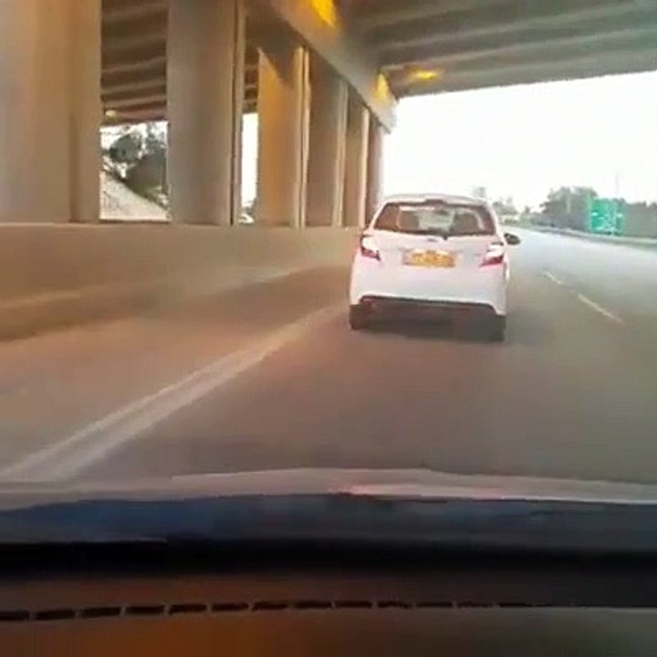 Mota farta-se da quarentena e não espera pelo dono para dar um passeio