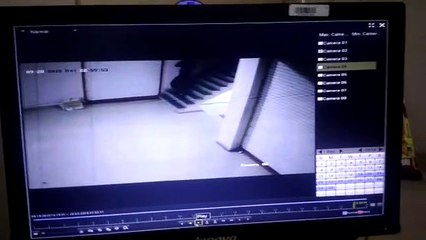 जिस रेस्टोरेंट में सीसीटीवी कैमरे लगाए वहीं कर दी चोरी