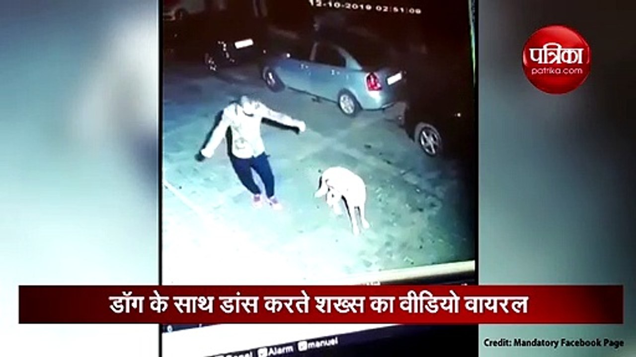 drunk man meets stray dog viral video