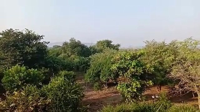 ब्रेकिंग न्यूज-सहायक आबकारी आयुक्त के 5 ठिकानों पर लोकायुक्त का छापा