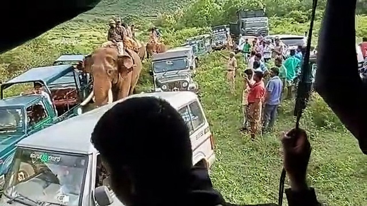 पांच दिन के ऑपरेशन के बाद कैसे पकड़ा गया आदमखोर बाघ