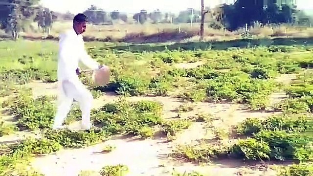 इलाके के खेतों में पहुंचा टिड्डी दल, पीपे और थाली बजा किसान उड़ा रहे टिड्डियां