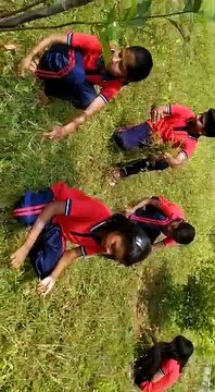 plantions