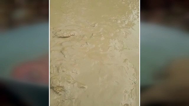 गड़गड़ाहट के बाद गांव में हुआ तेज धमाका, दीवारों में आईं दरार, घर छोड़ सड़क पर रात में बैठ गए लोग