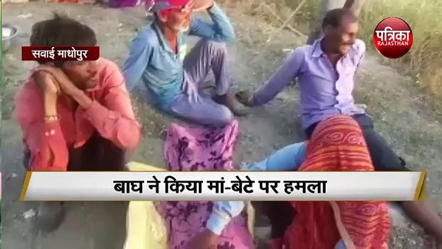Mother encounters tiger to save son in Ranthambore