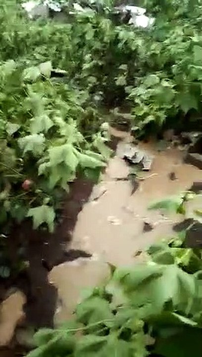 क्रैश हुआ ट्रेनी विमान, दो पायलट मरे