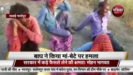 बेटे के लिए बाघ से भिड़ी मां हुई घायल, देखे पूरा वीडियो