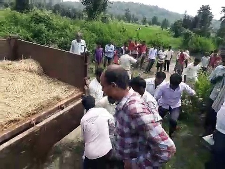 Young man killed