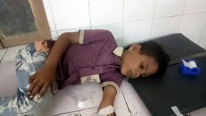 Tải video: खेत में काम करते आई आफत,  मधुमख्खियों ने मां, बेटे व बेटी पर बोला हमला