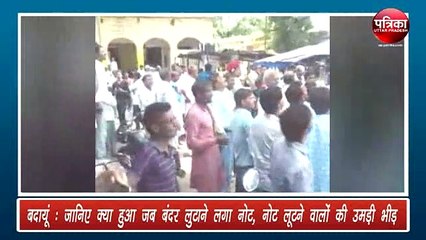 जब बंदर ने बरसाए नोट, लूटने लगे लोग, देखें वीडियो