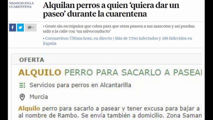 Paseas a Tu Perro  En La cuarentena - No te Pases ✅ MejorSeguroMedico.es