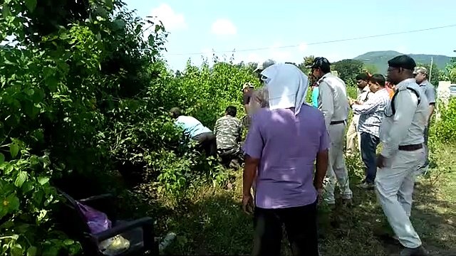 Crocodile entered village, forest department team caught rescue