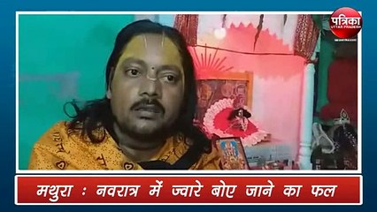 शारदीय नवरात्र 2019: जानिए क्यों बोए जाते हैं जवारे, मिलता है ये फल