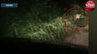 बीच सड़क पर कार के आगे घूमते हुए तेंदुए का वीडियो वायरल !