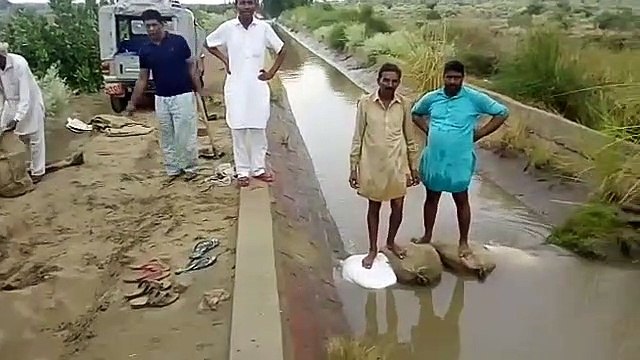 नहर टूटने से खेत जलमग्न, फसल को नुकसान