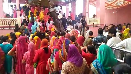 shardiya navratri 2019 bikaner news