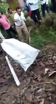 घर में घुसा अजगर परिवार में दहशत