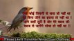 दिल को छू जाने वाली शायरी | गुलज़ार साहब | 2020 New Shayari | Motivational Quotes Hindi By Gulzar |
