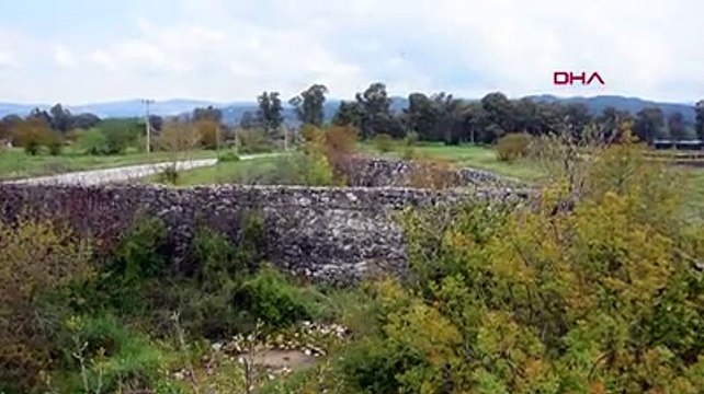 2'nci Dünya Savaşı döneminin 'İncirlik Üssü' ineklerin otlağı oldu