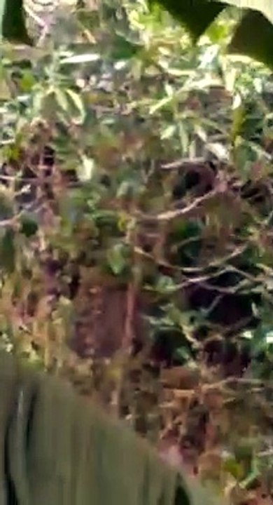 பசியாறும் அணில்!  - ஊரடங்கால் சமானியர்கள் மட்டுமல்ல, உயிரினங்களும் பசியாற பாடாய்படுகின்றன.