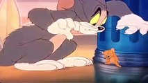Tom and Jerry / Lo mejor desde el comienzo /Parte 16 /1940 - 1958