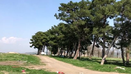 Günde 400 sokak hayvanı belediye ekipleri ve hayvanseverlerce besleniyor