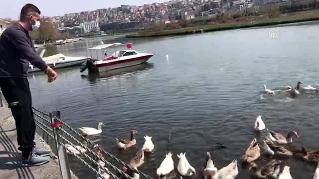 Eyüpsultan Belediyesi sokak hayvanlarına sahip çıkıyor