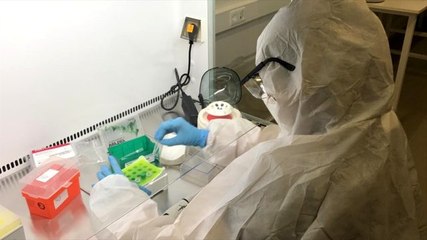 Dünya Sağlık Örgütü'nden Pavel Ursu: Türkiye koronavirüse karşı galip gelecektir