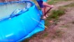 Try Not To Laugh _ Funny Moments People Pool Fails - Funny Videos 2020 (MS COMEDY)