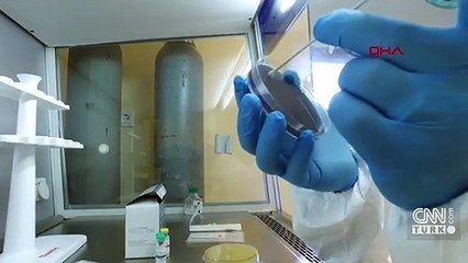 Koronavirüs veri havuzu