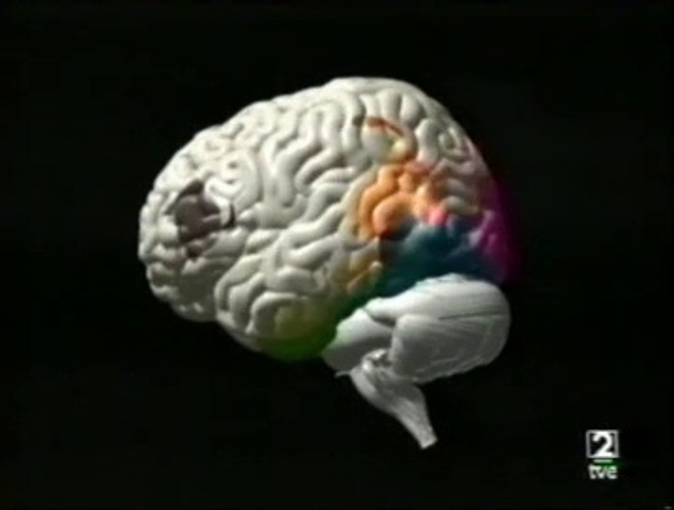 Cinetoagnosia:  Gisela (2)