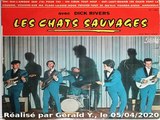Les Chats Sauvages & Dick Rivers_Sur ma plage (C. Richard_Thinking of our love)(1962)