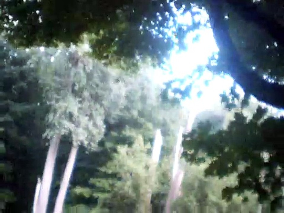 the king of the fairies guitar chords