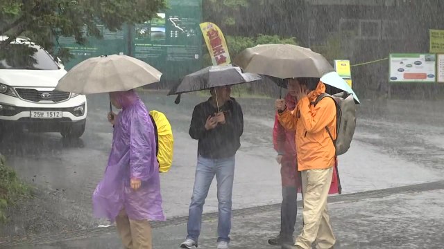 [날씨] 전국 곳곳 비·소나기, 강원 산간 대설 / YTN