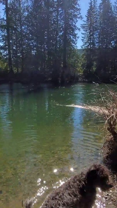 Nanaimo River Stroll