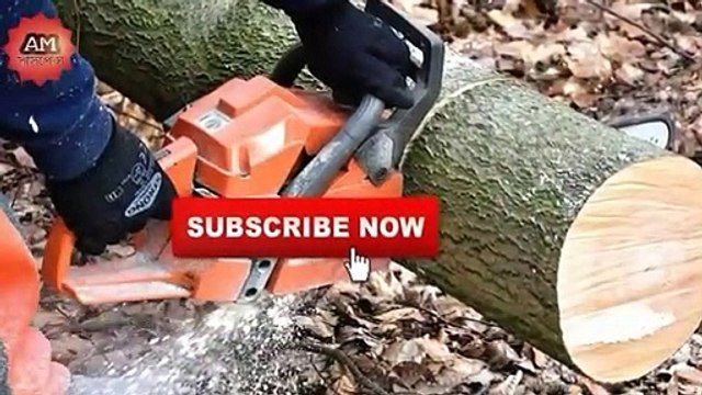 রহস্যময় দ্বীপ যেখানে গাছ কাটা হয় না গাছের হত্যা করা হয়| Solomon island er rohosho (AM SUSPENSE)